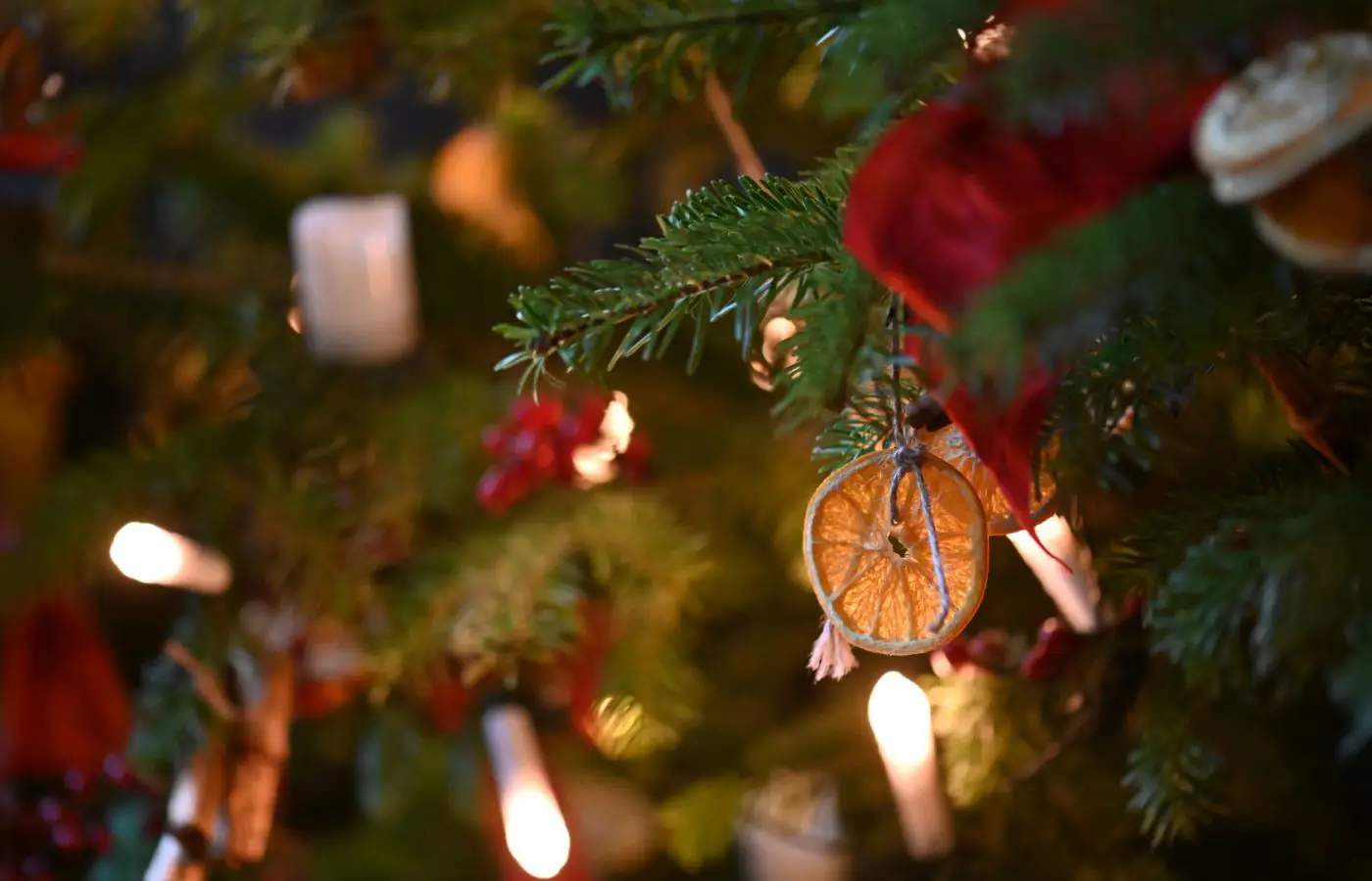 Détail d'une décoration naturelle de Noël avec tranches d'orange séchées et guirlandes lumineuses sur un sapin.